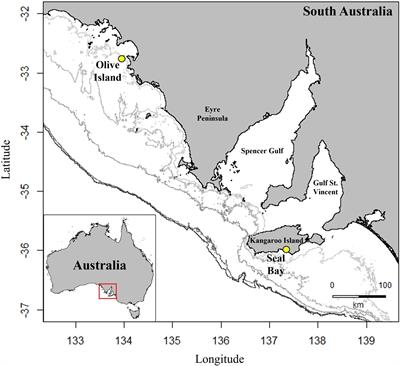 Using sea lion-borne video to map diverse benthic habitats in southern Australia